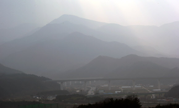 잿빛으로 바뀐 대관령