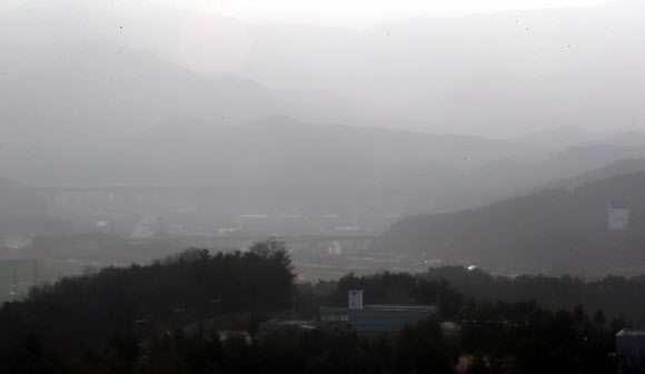 잿빛으로 바뀐 대관령