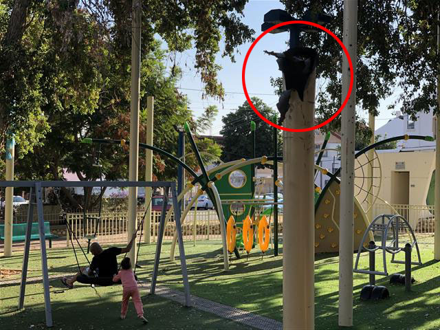 스데롯 시민이 18일 놀이터에서 아이들과 그네를 타며 긴장 속 평화를 즐기고 있다. 원 안은 하마스 로켓포가 파괴한 놀이터의 철제 구조물.