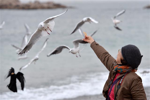 참을 수 없는 새우맛 과자의 유혹