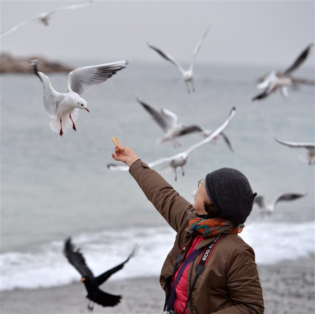 치명적인 새우맛 과자의 향기