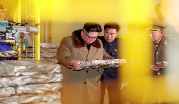 북한 김정은, 2주만에 공개활동…동해안 어업기지 잇달아 시찰