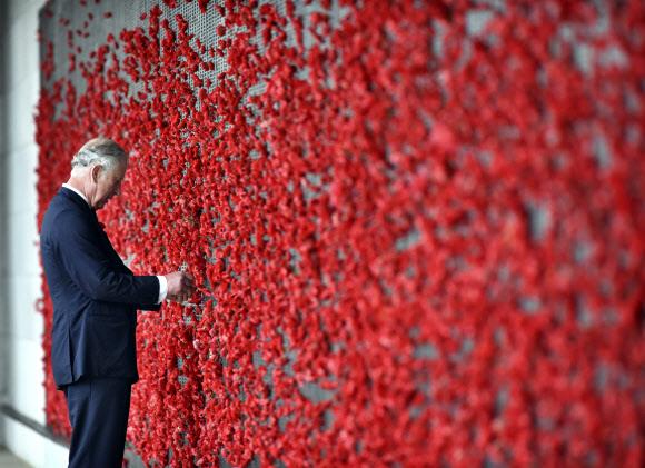 2015년 11월 11일(현충일) 호주를 방문해 붉은 양귀비꽃을 만지는 영국 찰스 왕세자.  서울신문 DB