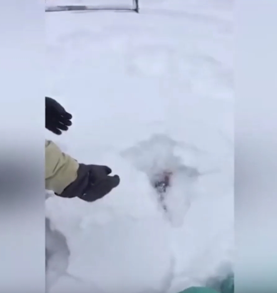 아빠 장난에 눈 속에 파묻힌 아기