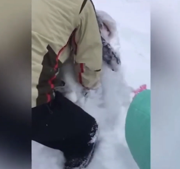 아빠 장난에 눈 속에 파묻힌 아기