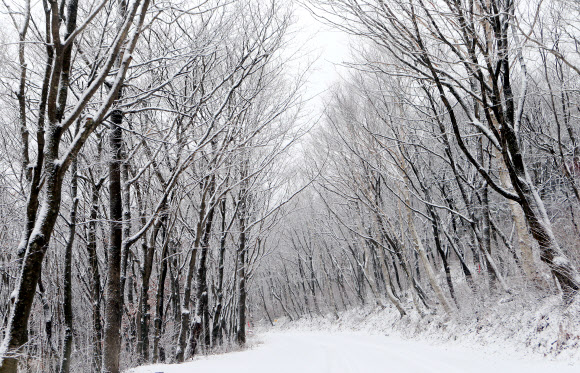 겨울로 가는 길