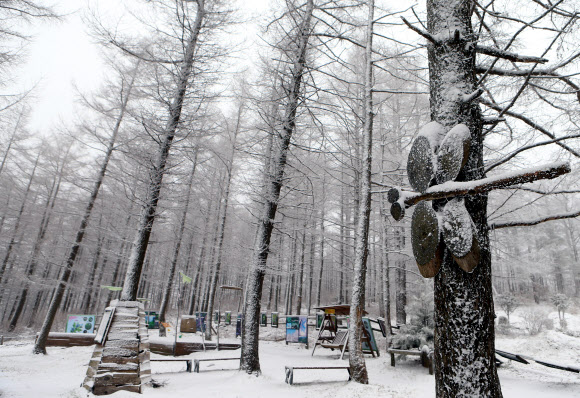 눈 내린 아침 풍경