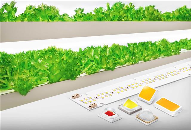 삼성전자 백색 기반 식물생장용 LED