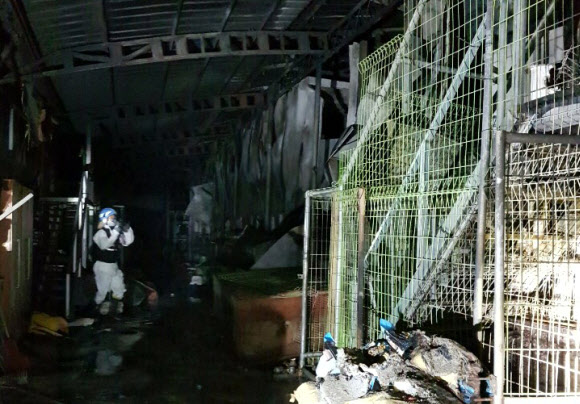 유기동물보호소 화재로 유기견 등 260여 마리 소사
