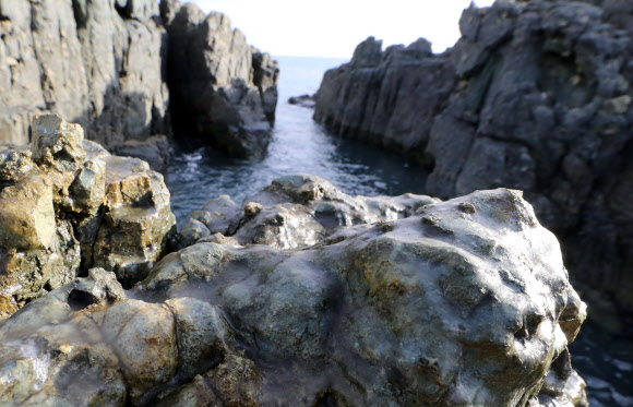 부산 오륙도 갯바위 얼음