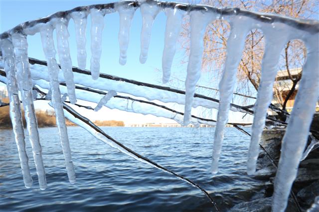 전국적으로 한파가 지속되고 있는 9일 오전 서울 여의도 한강공원 강변에 고드름이 얼어 있다. 기상청은 내일 아침까지 추운 날씨가 지속되다가 내일 낮부터 강추위가 누그러질 것으로 예보했다. 2018.12.9 뉴스1