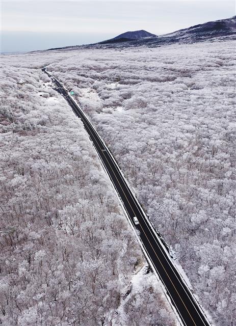‘겨울 제주 한라산’
