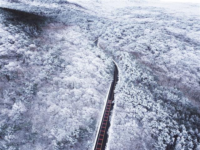 그림 같은 제주 한라산의 겨울 풍경