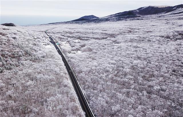 ‘눈이 그린 그림’