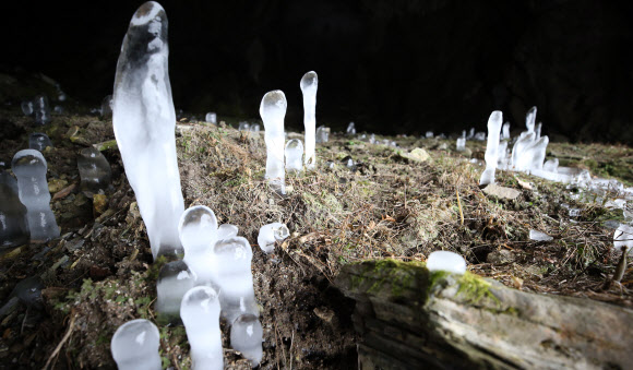 거꾸로 솟아오른 고드름
