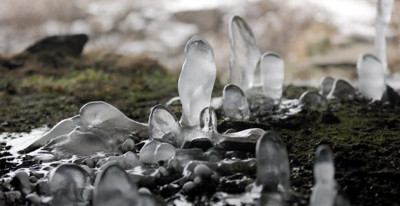겨울이 만든 풍경 ‘역고드름’