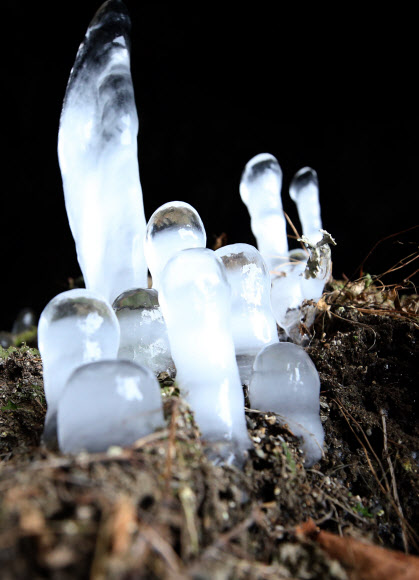 거꾸로 솟아오른 고드름