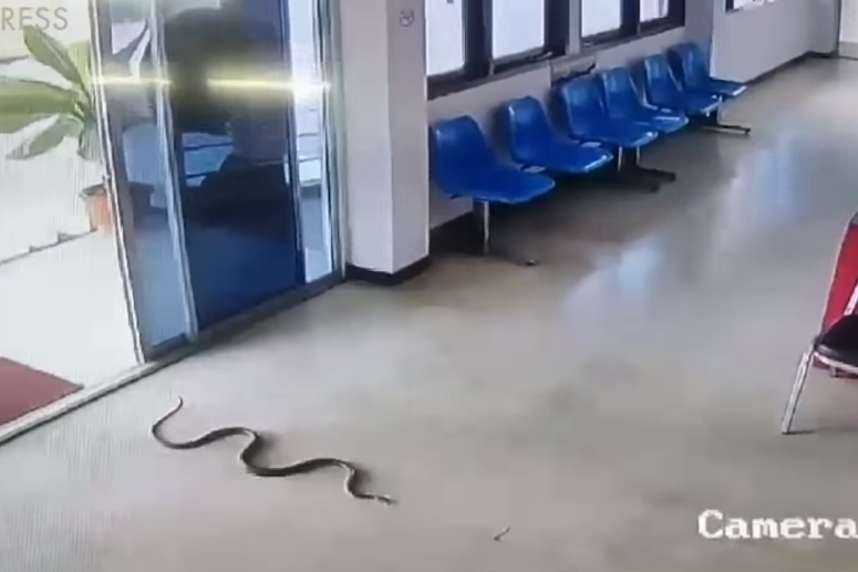 ‘감히 나를 물려고 해?!’