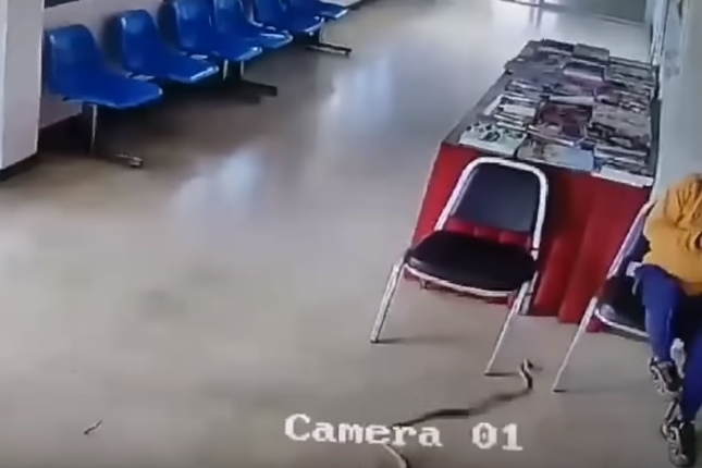 ‘감히 나를 물려고 해?!’