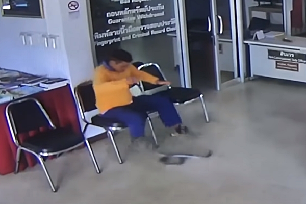 ‘감히 나를 물려고 해?!’