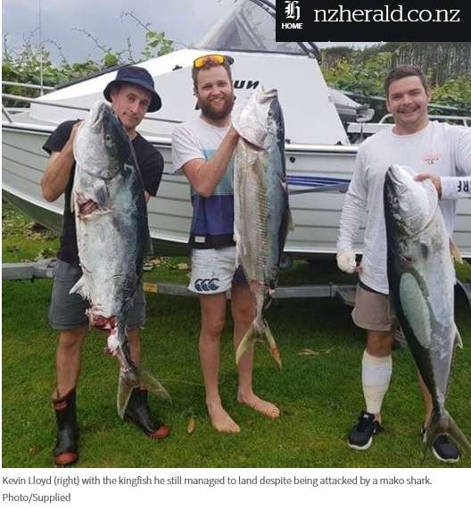 지난 15일(현지시간) 뉴질랜드 북섬 바다에서 작살로 고기를 잡다가 상어의 공격을 받은 케빈 로이드가 잡은 킹피시를 들고 친구들과 기념사진을 찍고 있다. 상어와 사투를 벌인 끝에 위기에서 탈출한 로이드는 병원으로 옮겨져 오른손을 10바늘 꿰매는 등 치료를 받았다. 2018.12.17  뉴질랜드 헤럴드 홈페이지 캡처 
