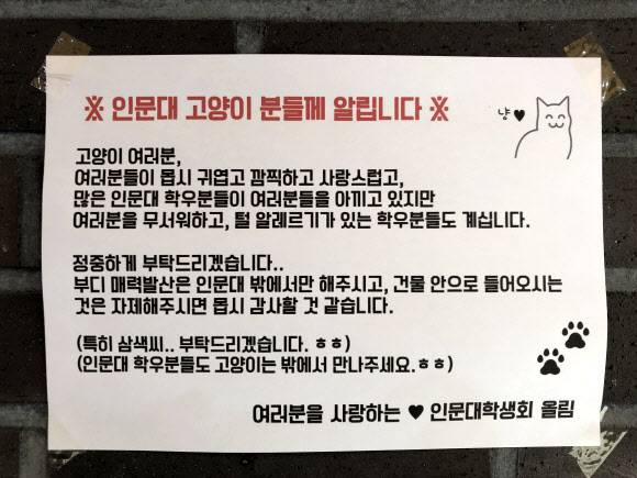 ‘고양이 분들께 알립니다’