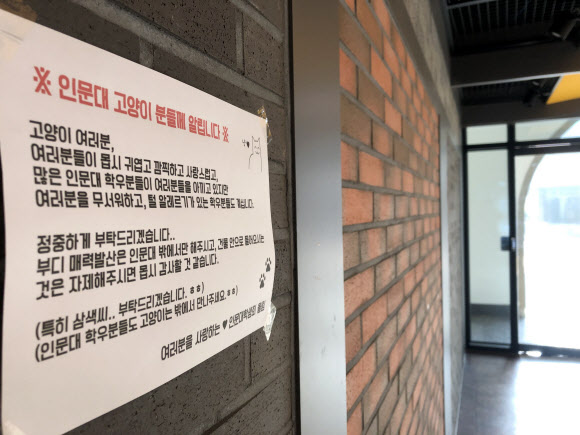 ‘고양이 분들께 알립니다’ 이색안내문