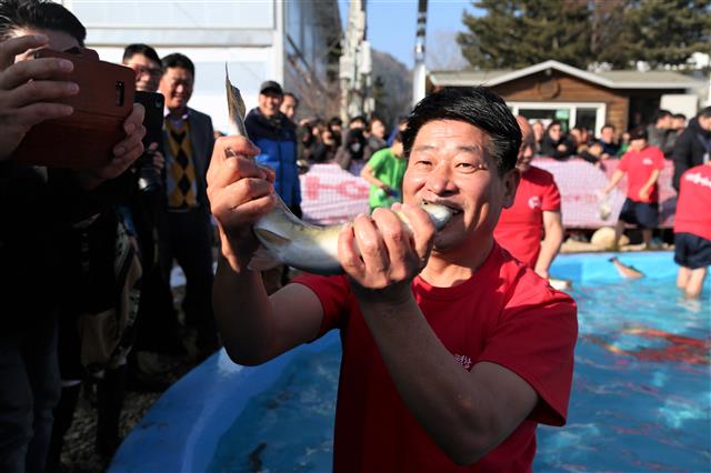 제12회 평창송어축제가 개막한 22일 강원 평창군 진부면 오대천 축제장에서 열린 맨손송어잡기 행사에서 심현정 평창군의원이 송어를 잡아 보이고 있다.2018.12.22 뉴스1