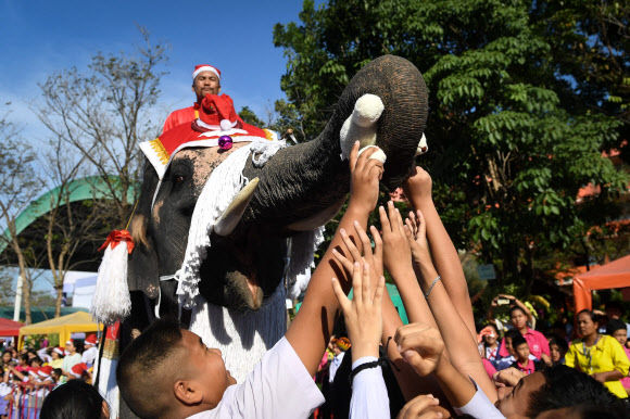 전통적인 태국 공연가가 24일(현지시간) 아유타야에서 크리스마스 축하행사 중 산타클로스 복장을 한 코끼리에게 장난감과 선물을 학생들에게 나눠 주도록 하고 있다. AFP 연합뉴스