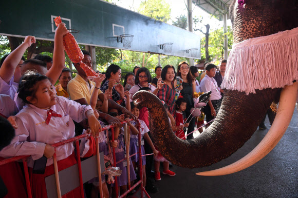 전통적인 태국 공연가가 24일(현지시간) 아유타야에서 크리스마스 축하행사 중 산타클로스 복장을 한 코끼리에게 장난감과 선물을 학생들에게 나눠 주도록 하고 있다. AFP 연합뉴스