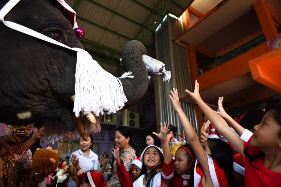 전통적인 태국 공연가가 24일(현지시간) 아유타야에서 크리스마스 축하행사 중 산타클로스 복장을 한 코끼리에게 장난감과 선물을 학생들에게 나눠 주도록 하고 있다. AFP 연합뉴스