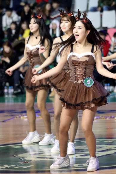 25일 오후 강원 원주종합체육관에서 열린 2018∼2019 프로농구 원주 DB 프로미와 전주 KCC 이지스의 경기에서 DB 치어리더들이 응원을 펼치고 있다. 2018.12.25  연합뉴스