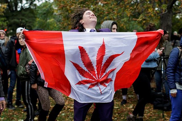 지난 10월 세계 두 번째로 마리화나 사용의 합법화가 발표된 캐나다에서 2019년부터는 마리화나와 관련한 다양한 연구결과들이 쏟아져 나올 것으로 전망된다. 로이터 연합뉴스