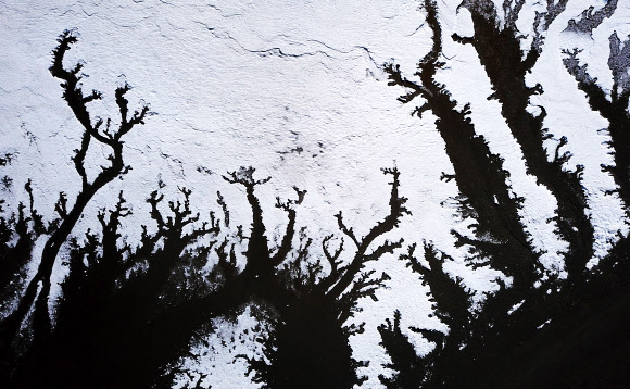 북극 한파가 만든 풍경