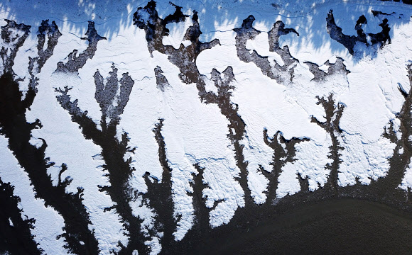 북극 한파가 만든 풍경