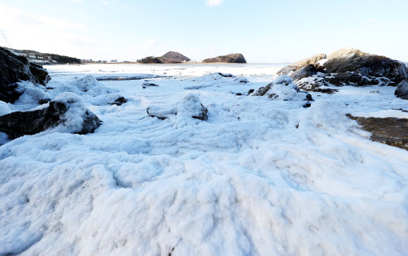 북극 한기에 갯바위도 꽁꽁