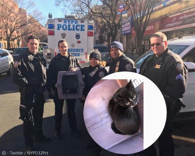 폭스바겐 SUV 차대에 숨은 새끼고양이(원 안)를 구조한 경찰들.