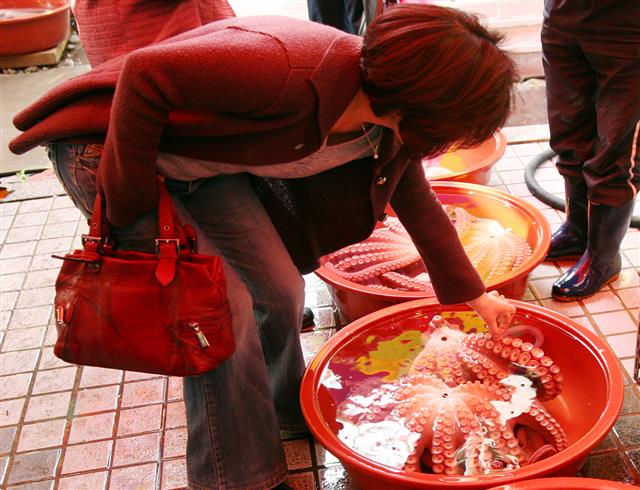 경북 안동 중앙신시장에서 한 손님이 문어를 사기 위해 살펴보고 있고 있다.<br>안동시 제공