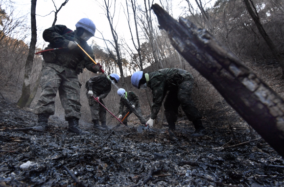 2일 산불이 발생한 강원도 양양군 서면의 야산에서 군인들이 잔불제거 작전을 펼치고 있다. 2019.1.2  박지환 기자 popocar@seoul.co.kr