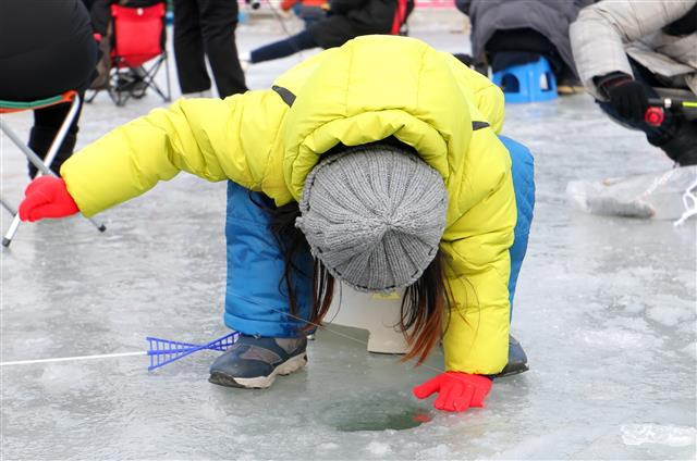 ‘송어야 나와봐’