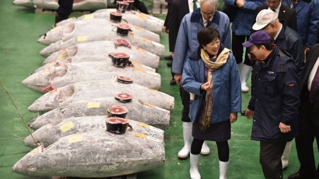 도쿄 AFP 연합뉴스