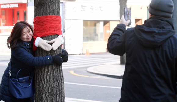 6일 서울 중구 일대 가로수에 목도리와 장갑 모양의 덮개가 씌워져 있다.2019. 1. 6. 박윤슬 기자 seul@seoul.co.kr