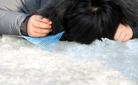 보고 싶다 산천어