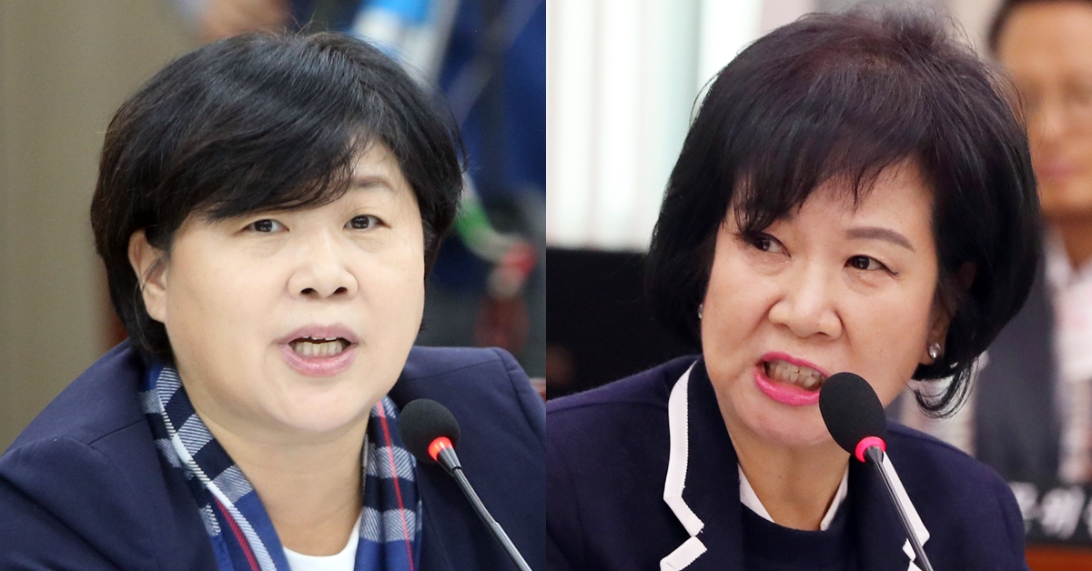 더불어민주당의 서영교(왼쪽) 의원과 손혜원 의원. 연합뉴스