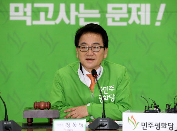 발언하는 민주평화당 정동영 대표