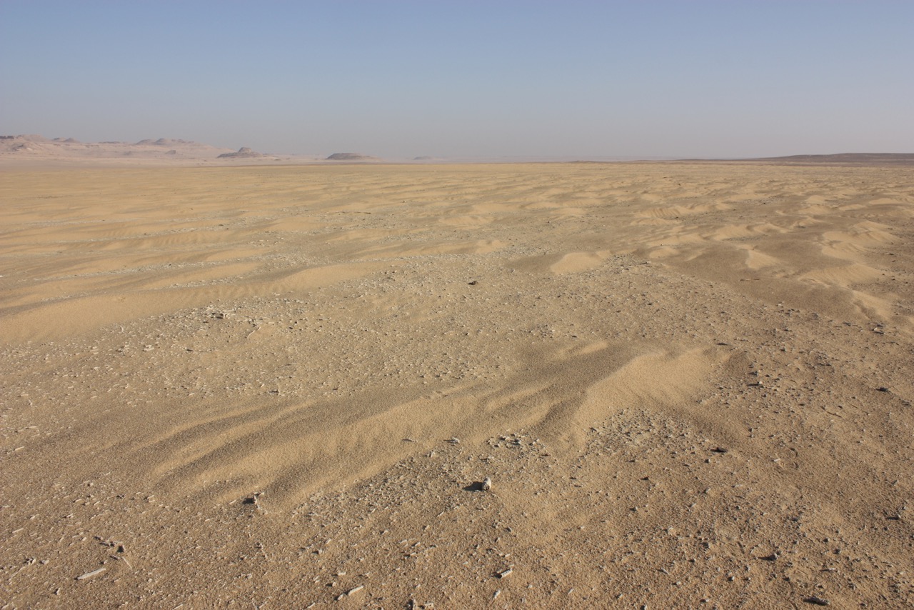 아프리카 사하라사막의 모습. 홀로세 초중기에는 이 지역은 사막이 아닌 초원이었다. 이후 급속한 기후변화로 인해 모래벌판으로 바뀌었다. 위키피디아 제공