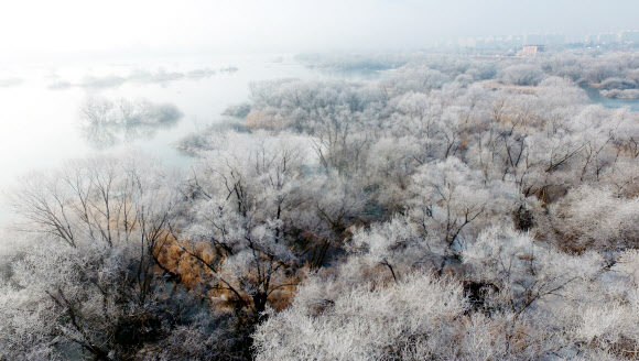22일 오전 강원 춘천시 소양강에 첫 상고대가 활짝 피어올라 그림 같은 풍광을 연출하고 있다. 2019.1.22  연합뉴스