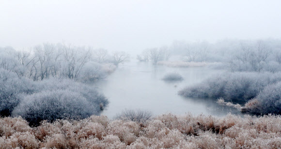 22일 오전 강원 춘천시 소양강에 첫 상고대가 활짝 피어올라 그림 같은 풍광을 연출하고 있다. 2019.1.22  연합뉴스