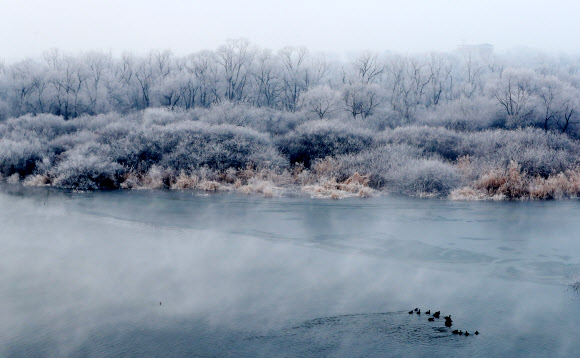 22일 오전 강원 춘천시 소양강에 첫 상고대가 활짝 피어올라 그림 같은 풍광을 연출하고 있다. 2019.1.22  연합뉴스