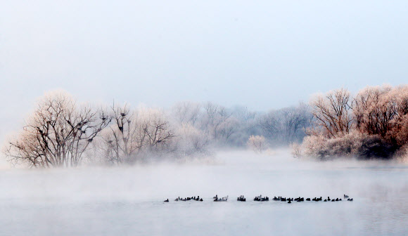 22일 오전 강원 춘천시 소양강에 첫 상고대가 활짝 피어올라 그림 같은 풍광을 연출하고 있다. 2019.1.22  연합뉴스